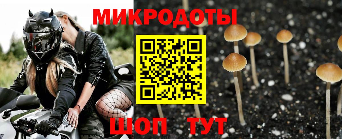 Псилоцибиновые грибы мицелий Донецк
