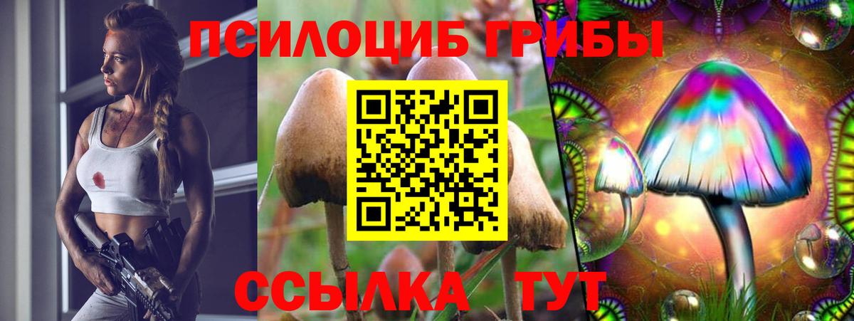 Донецк  Галлюциногенные грибы мицелий  Вход с VPN 